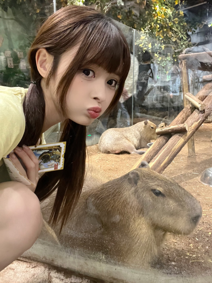 白鹿原